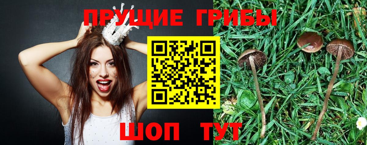Галлюциногенные грибы мухоморы Дедовск